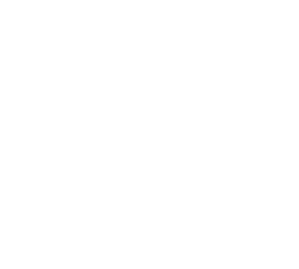 Dr. Renato Vidigal